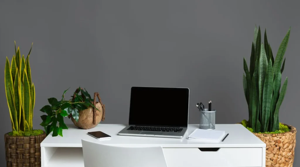 Kancelarija sa stolom laptopom i cvijecem